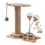 Giochi interattivi per gatti