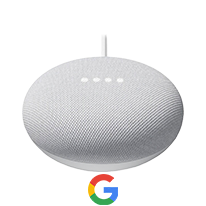 Google nest mini  Prezzi e offerte su