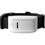 GPS per cani senza abbonamento