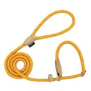 Guinzaglio a strozzo per cani