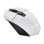 Mouse GXT