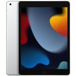 iPad 13 pollici