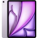 iPad M2