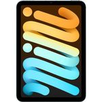 iPad mini cellular