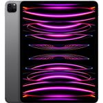 iPad Pro 12.9 256gb