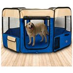 Kennel gatto