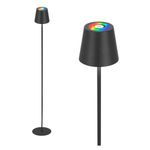Lampada da terra senza fili da interno
