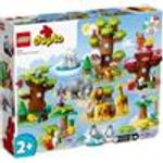 LEGO DUPLO 2 anni