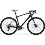 Bici merida