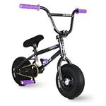 Mini Bmx