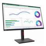 Monitor 30 pollici