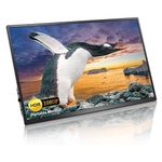 Monitor portatile 17