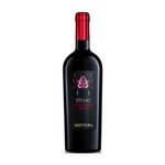 Vini Mottura