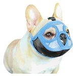 Museruola bulldog