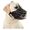 Museruola cane corso