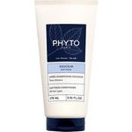 Shampoo Native