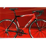 Bici olmo