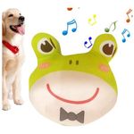 Pallina per cani che si muove da sola
