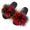 Pantofole peluche donna