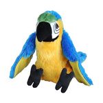 Peluche pappagallo