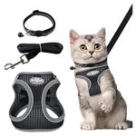 Pettorina gatto con gps