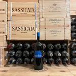 Vino Pignolo