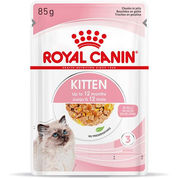 Umido royal canin kitten