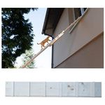 Scala per gatti balcone