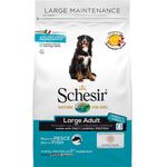Crocchette cane schesir