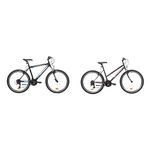 Bici schiano