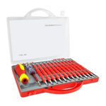 Set cacciaviti professionali