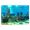Sfondo 3d acquario