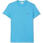 T-shirt azzurra uomo