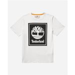 T-shirt uomo colorate