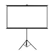 Telo bianco per proiettore