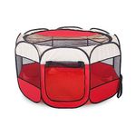 Tenda gatto