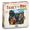 Ticket to Ride