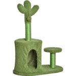 Tiragraffi cactus