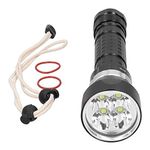 Torcia subacquea professionale led