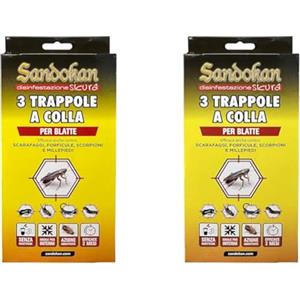Trappole per termiti, esche complete per interno, Termigard, scatola e cellulosa insetticida