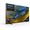 TV Sony bravia 55 pollici