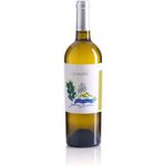 Vino bianco fruttato