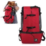Zaino gatto trekking