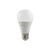 ADJ Enerlux Lampadina LED 12W E27 A+
