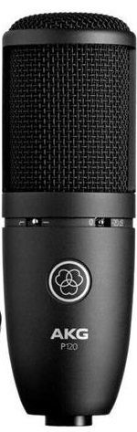 AKG P120