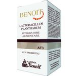 Alchimia Benoit Lactobacillus Plantharu