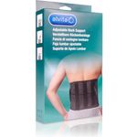 Alvita Fascia Lombare