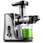 Amzchef Estrattore di Succo GM3001