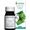 Arcangea Ginkgo Biloba Capsule