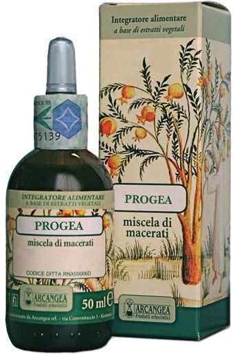 Arcangea Progea